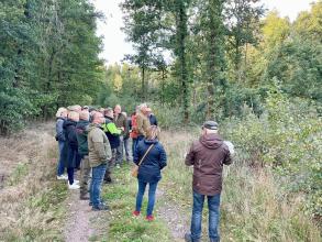 Lionswald am Boxberg